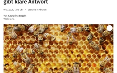 … und wieder wurden wir als Experten befragt: